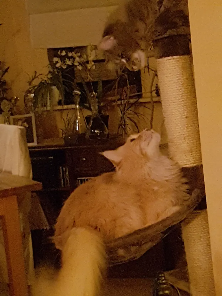 Andachtsbild von Ein lieber Gruß von Brigitta und Sam