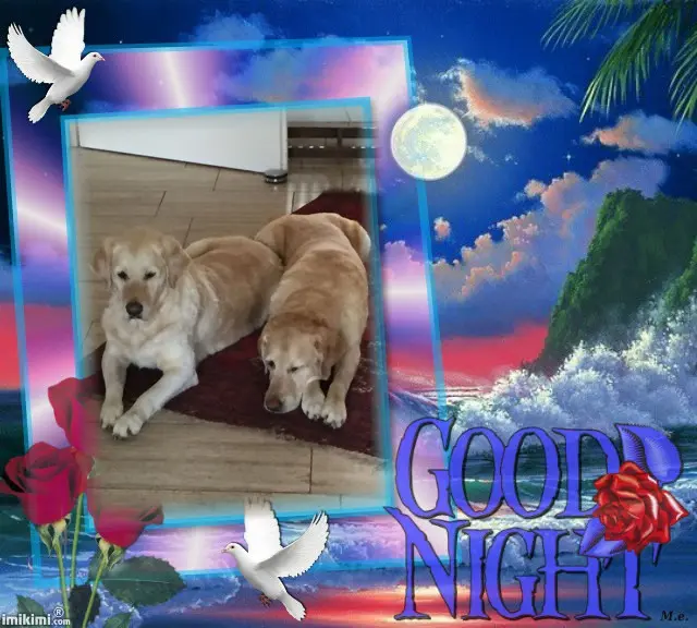 Andachtsbild von ❤️❤️❤️