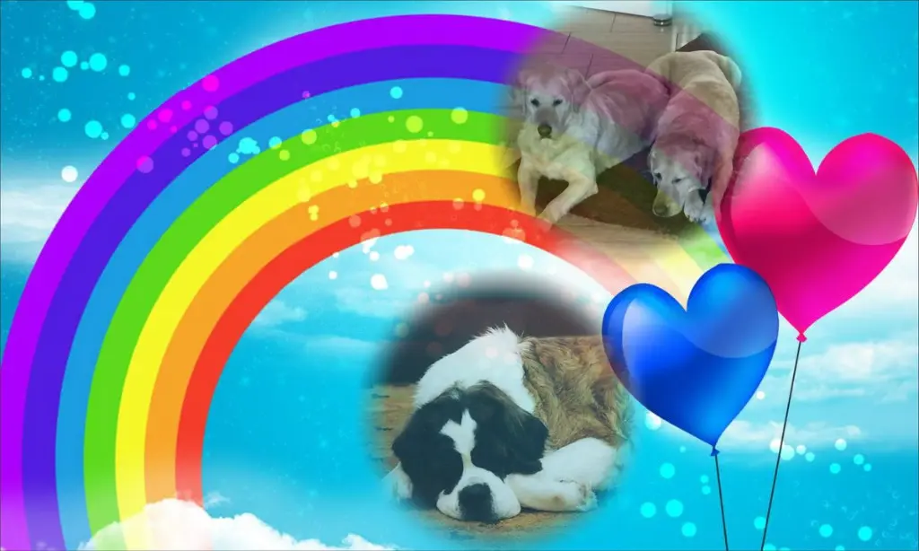 Andachtsbild von ❤️❤️❤️