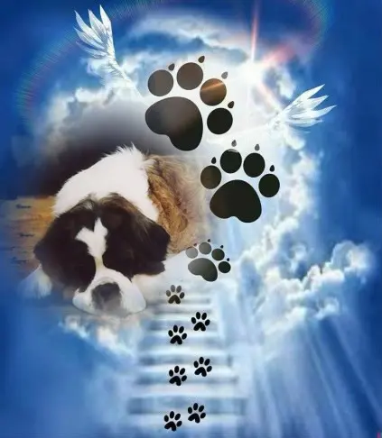 Andachtsbild von ❤️❤️❤️