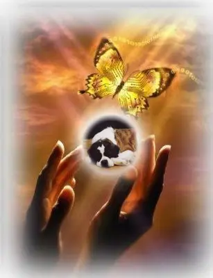 Andachtsbild von ❤️❤️❤️