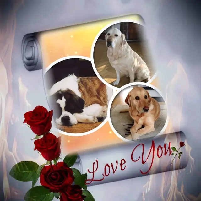 Andachtsbild von ❤️❤️❤️