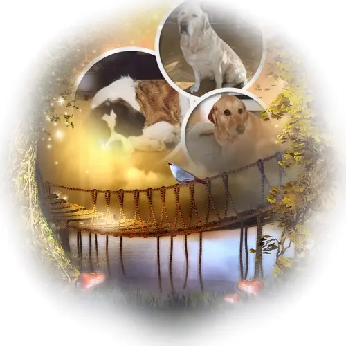 Andachtsbild von ❤️❤️❤️