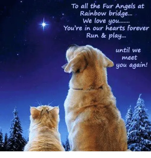 Andachtsbild von Ariane, Regenbogenland