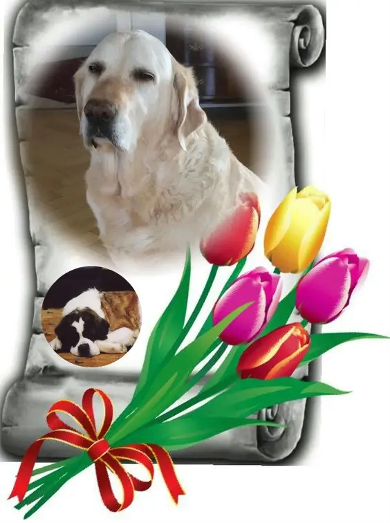 Andachtsbild von ❤️❤️❤️