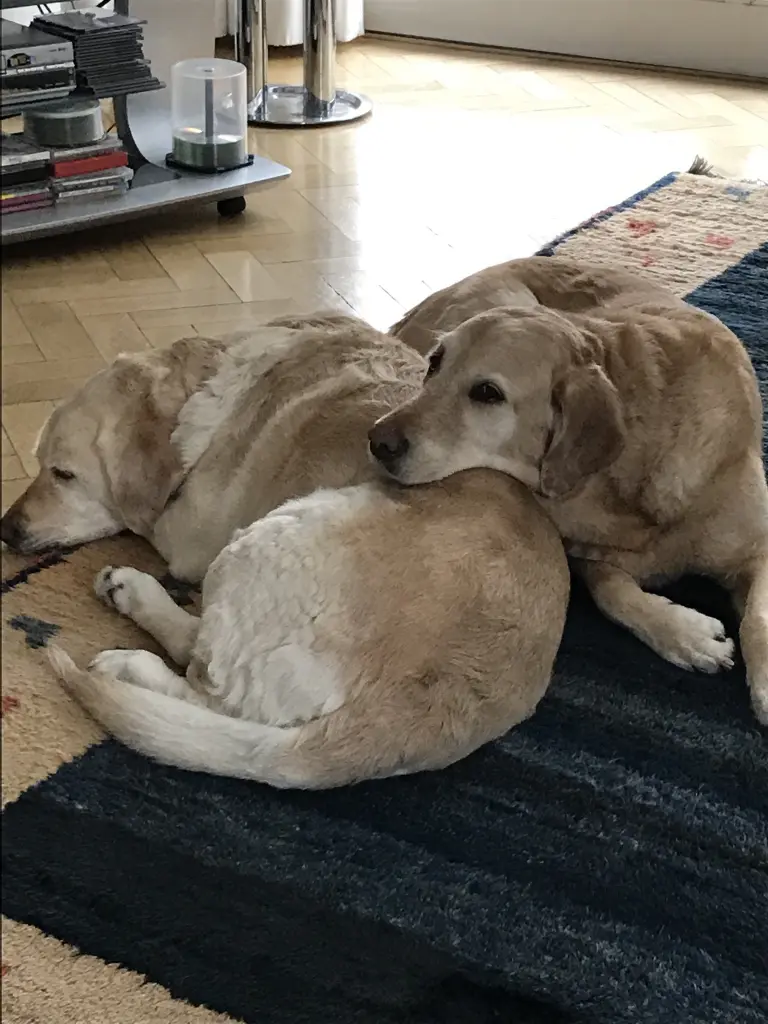 Andachtsbild von Brigitta