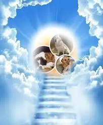 Andachtsbild von ❤️❤️❤️