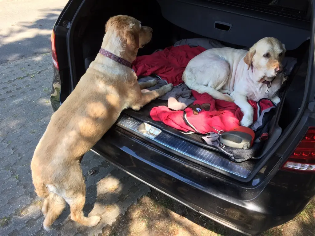 Andachtsbild von Brigitta