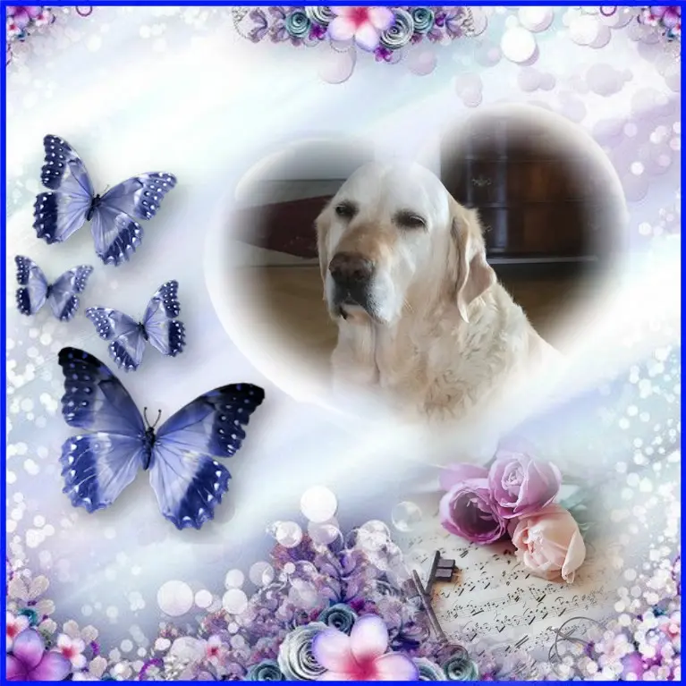 Andachtsbild von ❤️❤️❤️