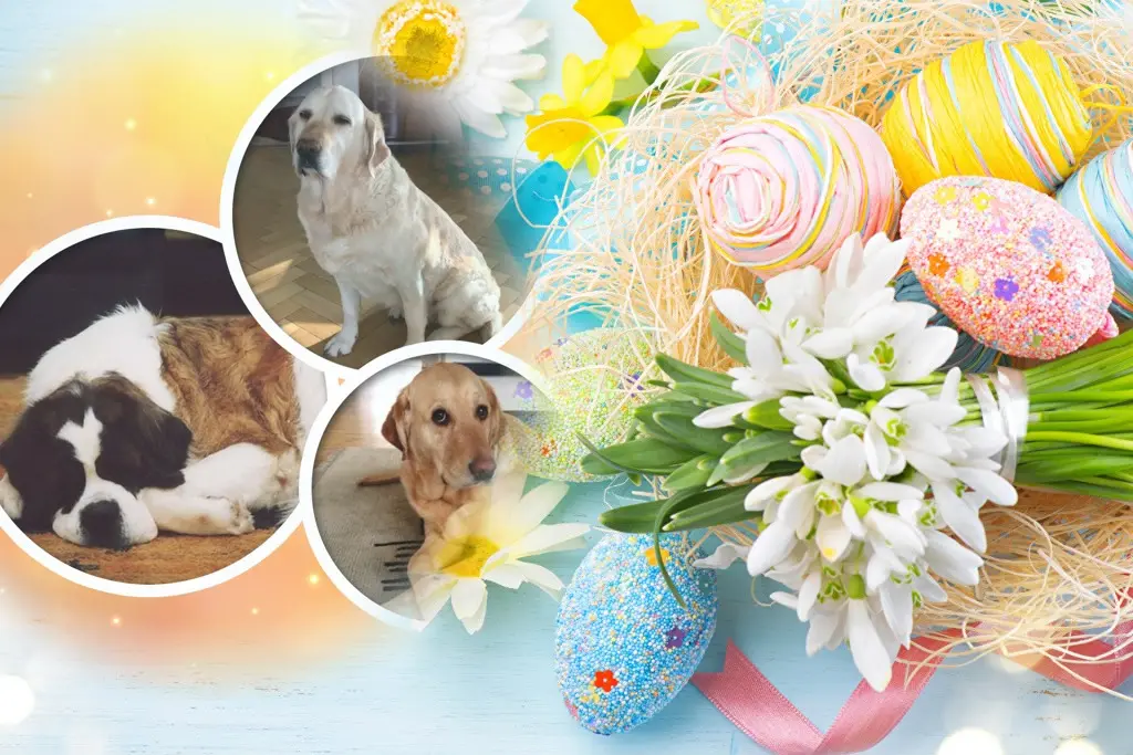 Andachtsbild von ❤️❤️❤️