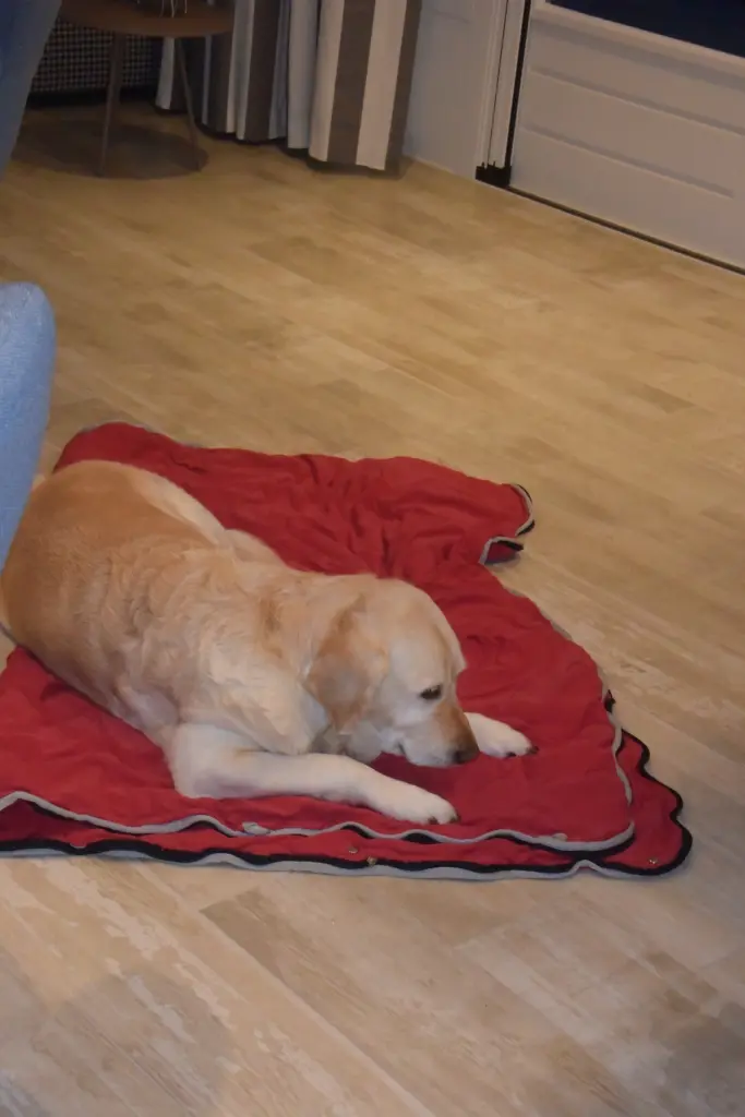 Andachtsbild von Brigitta 