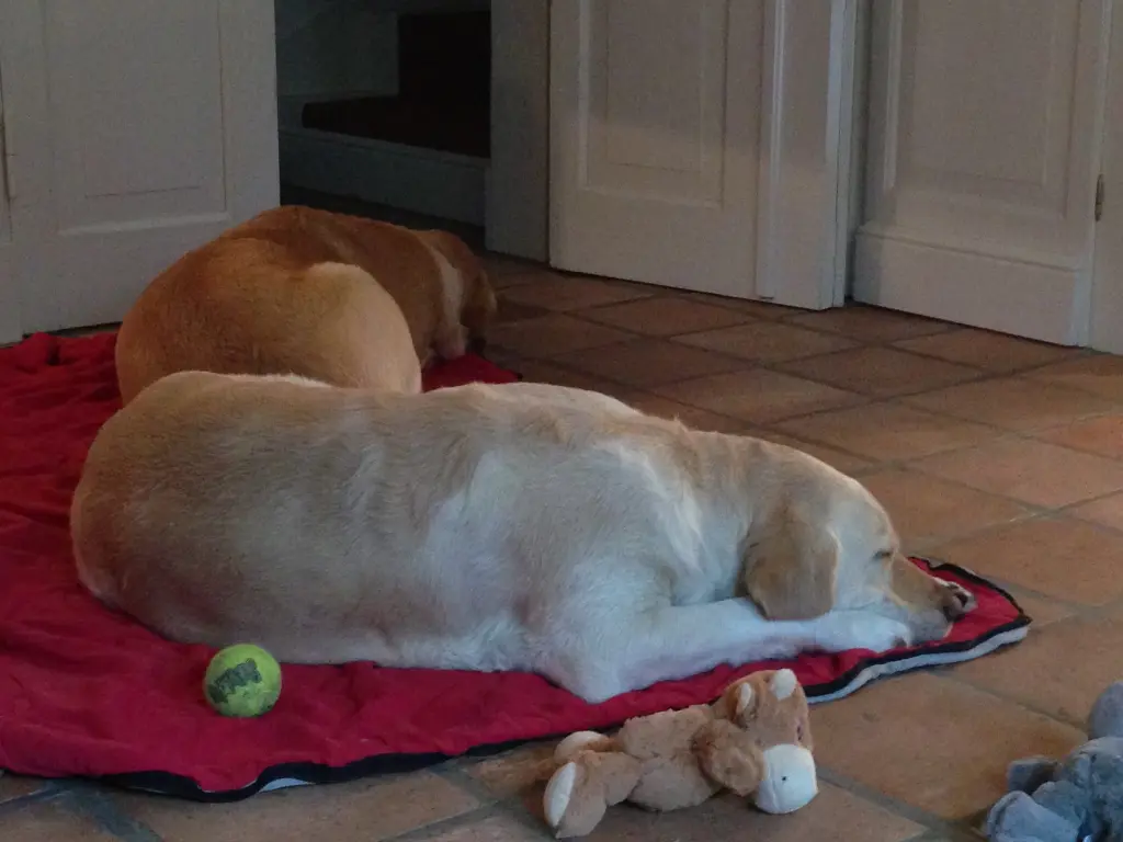 Andachtsbild von Brigitta 