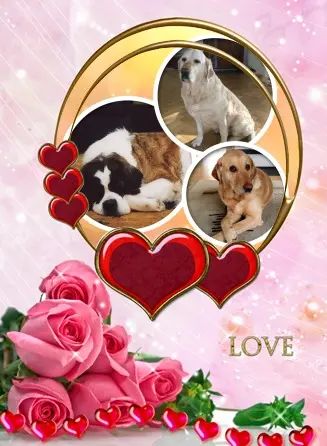 Andachtsbild von ❤️❤️❤️