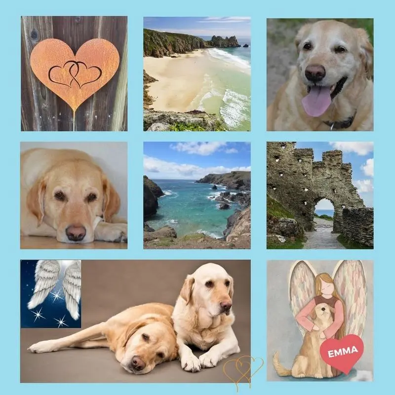 Andachtsbild von Rosen für Paula 