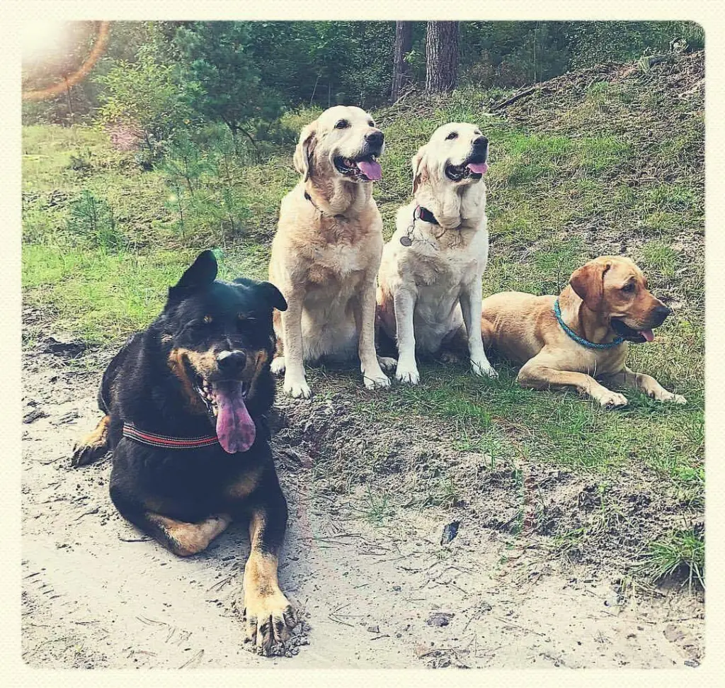 Andachtsbild von Brigitta 