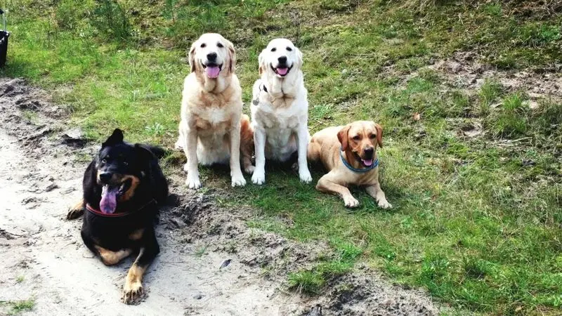 Andachtsbild von Brigitta 