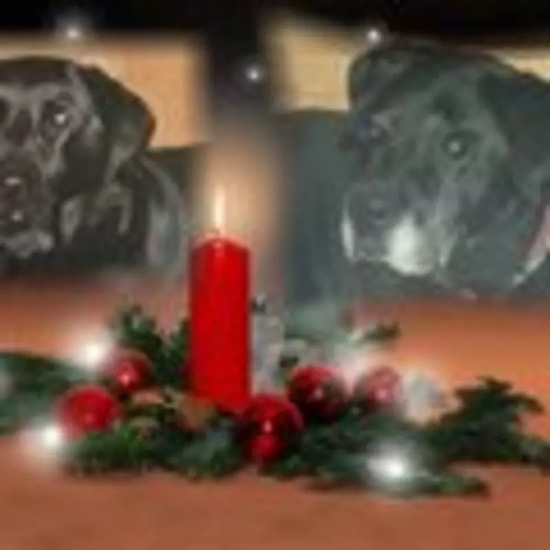 Andachtsbild von Unbekannt