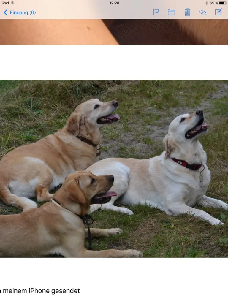 Andachtsbild von Brigitta 