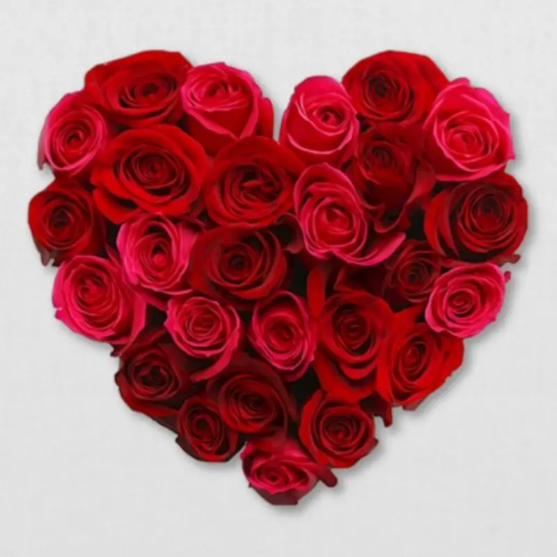 Andachtsbild von Brigitta 