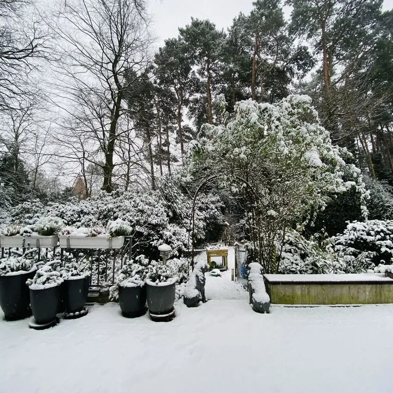 Andachtsbild von Brigitta 