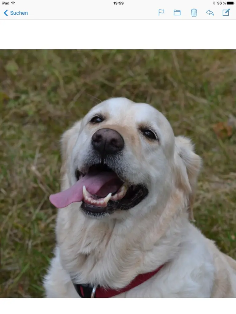 Andachtsbild von Brigitta 