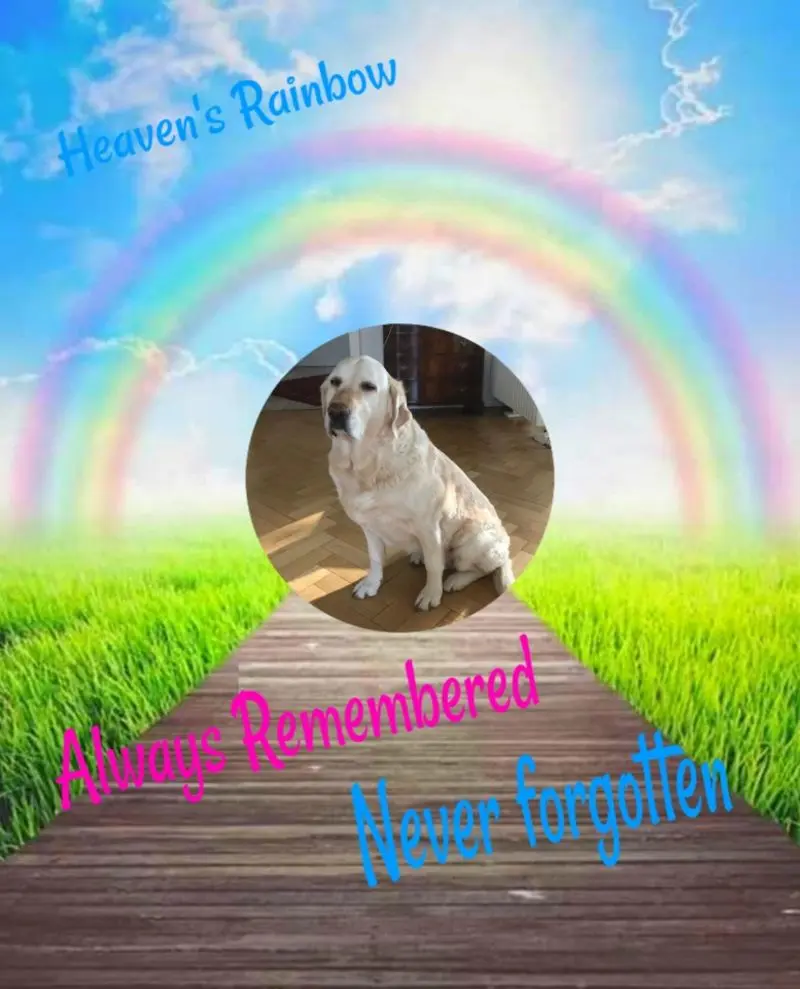 Andachtsbild von 3.Sternchen❤️❤️❤️Gedenktag❤️