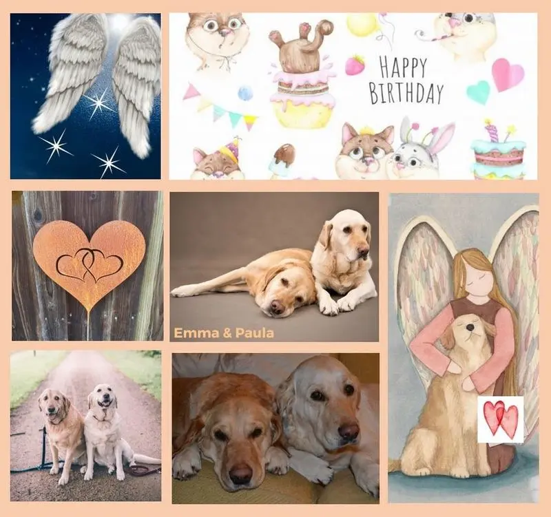 Andachtsbild von Rosen zum 14. Geburtstag