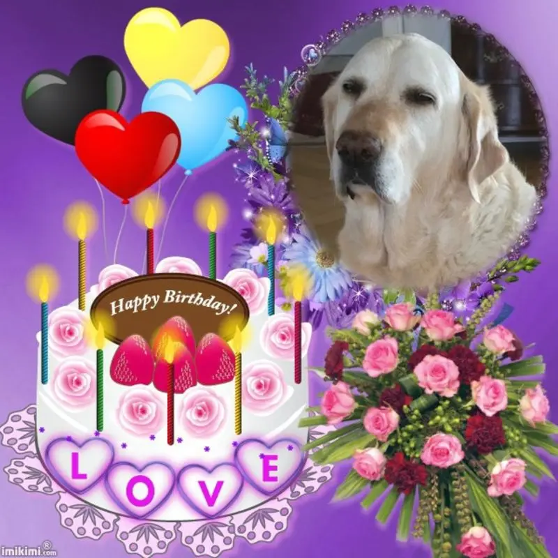 Andachtsbild von GEBURTSTAG❤️❤️❤️KIND❤️