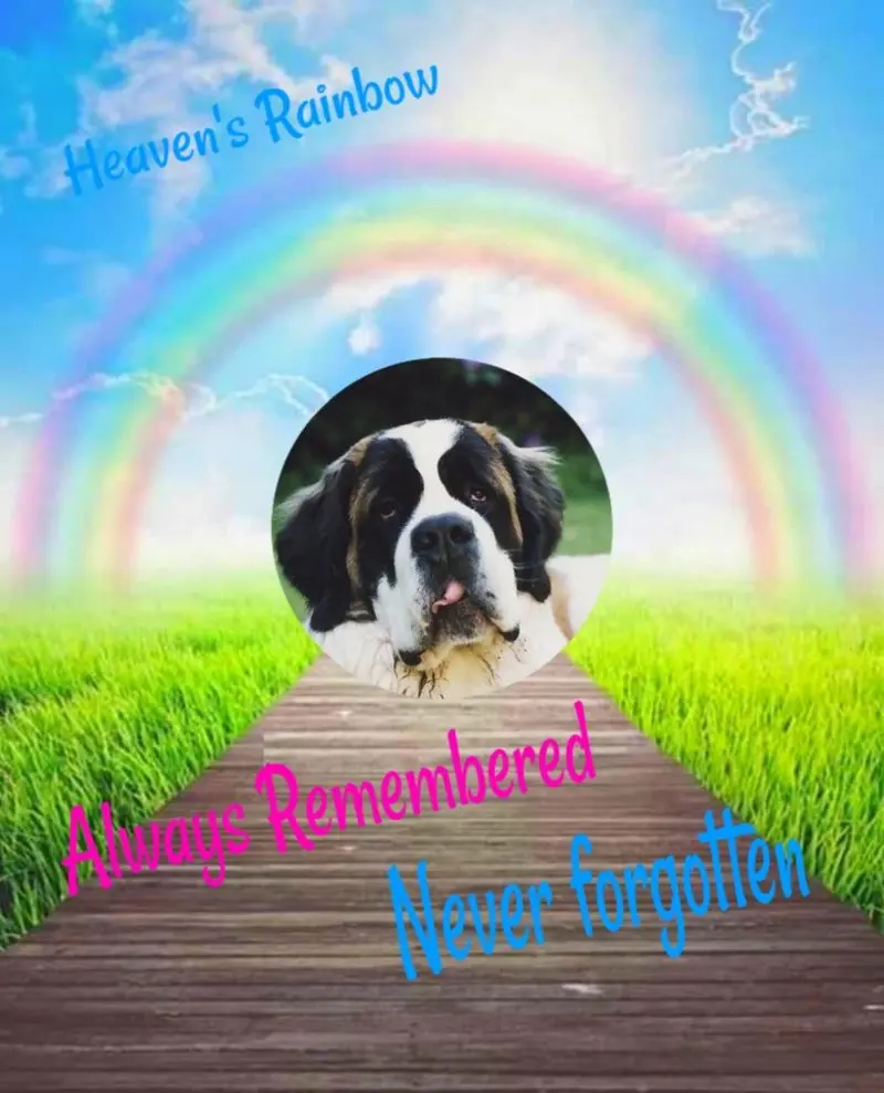 Andachtsbild von ❤️❤️❤️