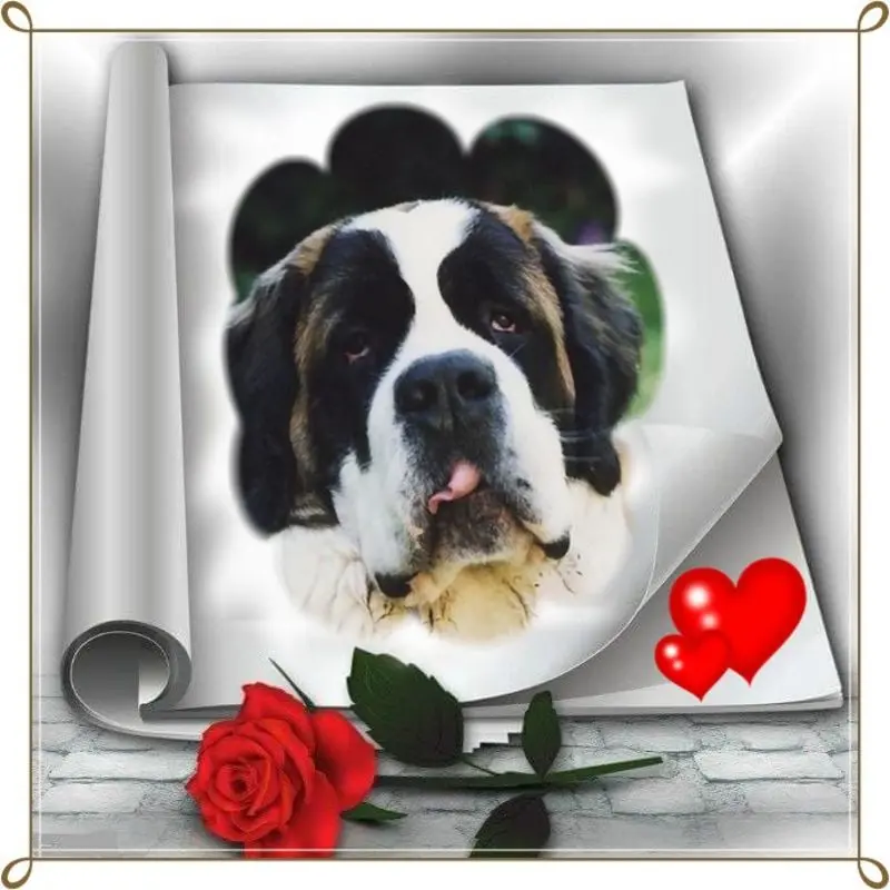 Andachtsbild von 14.Sternchen❤️Gedenktag❤️