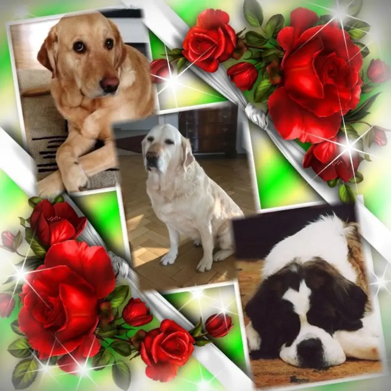 Andachtsbild von Guten Abend❤️❤️❤️