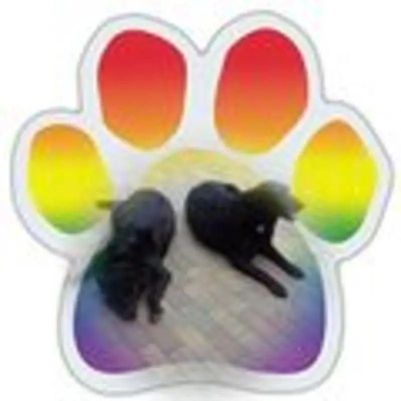 Andachtsbild von Unbekannt