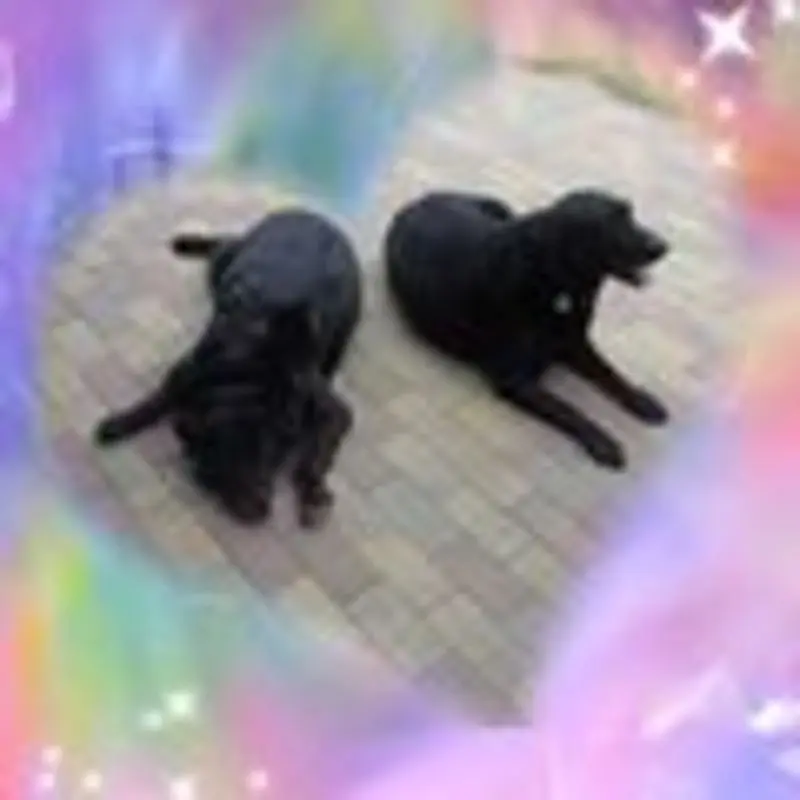 Andachtsbild von Unbekannt