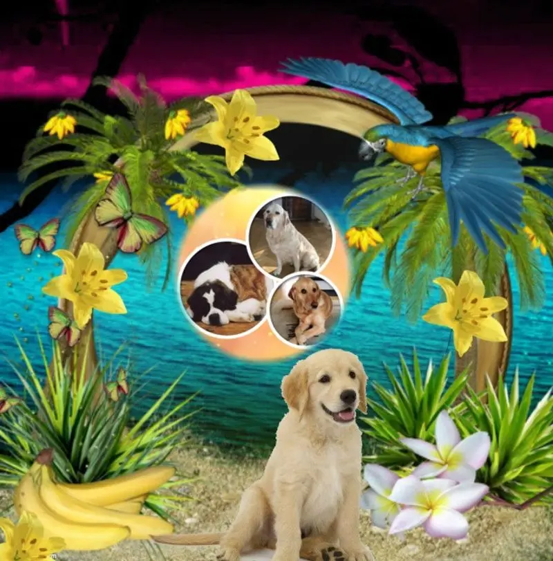 Andachtsbild von DANKE SCHON❤️❤️❤️