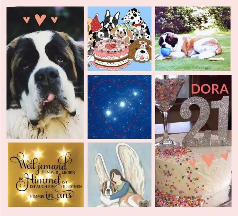 Andachtsbild von Verspätete Geburtstagsrosen für Dora 