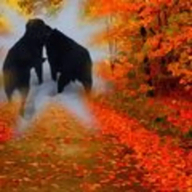 Andachtsbild von Unbekannt