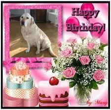 Andachtsbild von 15.Geburtstag❤️❤️❤️