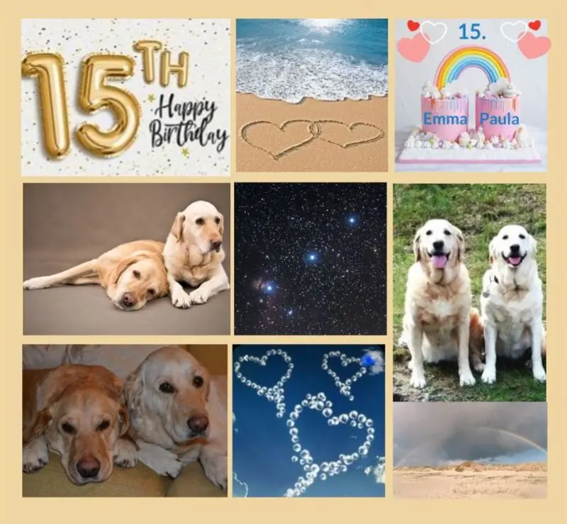 Andachtsbild von Nachträgliche Geburtstagsrosen