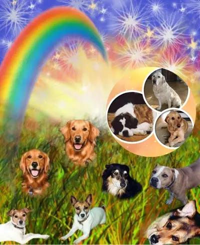 Andachtsbild von Liebe❤️❤️❤️Paulinchen❤️Emmchen❤️und Dorchen❤️