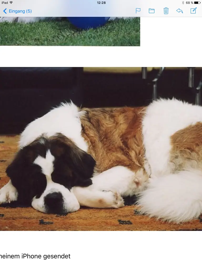 Andachtsbild von Brigitta