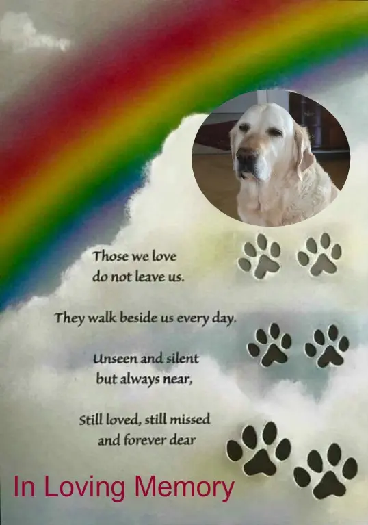 Andachtsbild von 5.Sternchen❤Gedenktag❤❤❤❤❤