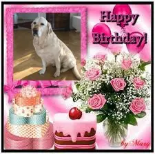 Andachtsbild von 16.Geburtstag❤️❤️❤️❤️❤️❤️❤️❤️❤️❤️❤️❤️❤️❤️❤️❤️❤️