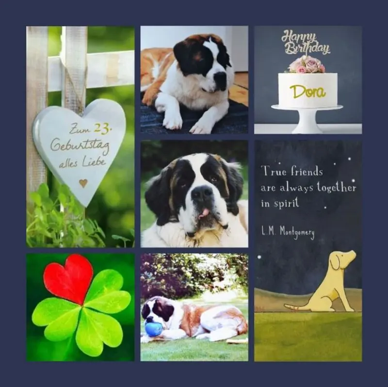 Andachtsbild von 23 Geburtstagssträuße für Dora