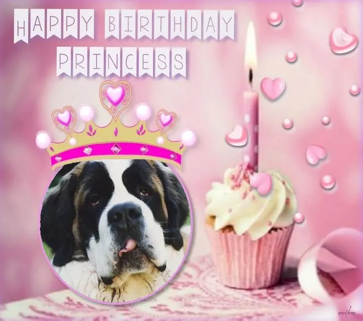 Andachtsbild von 23 Geburtstag❤❤❤❤❤❤❤❤❤❤❤❤❤❤❤❤❤❤❤❤❤❤❤