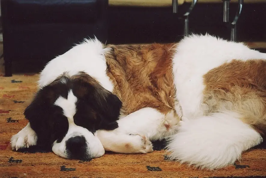 Andachtsbild von Brigitta 