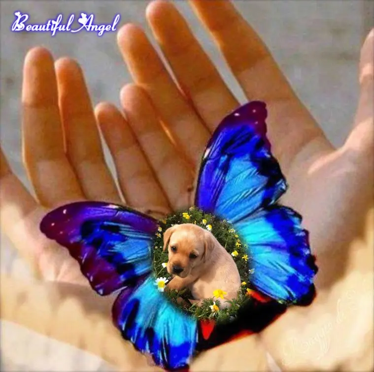 Andachtsbild von ❤️❤️❤️❤️❤️❤️❤️❤️❤️❤️❤️❤️