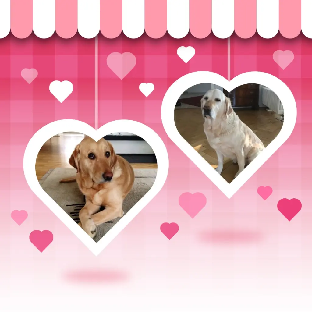 Andachtsbild von ❤️❤️❤️❤️❤️❤️❤️❤️❤️❤️❤️