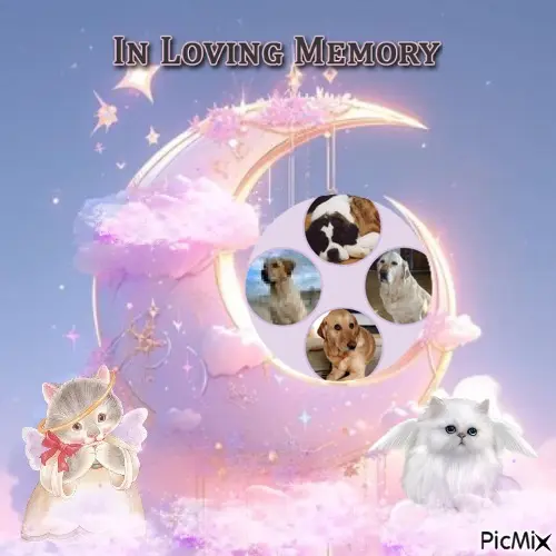 Andachtsbild von ❤️❤️❤️❤️❤️❤️❤️❤️❤️❤️❤️❤️