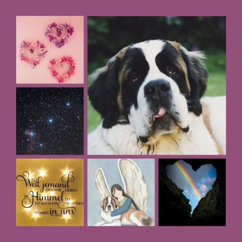 Andachtsbild von 24 Rosensträuße für Dora 