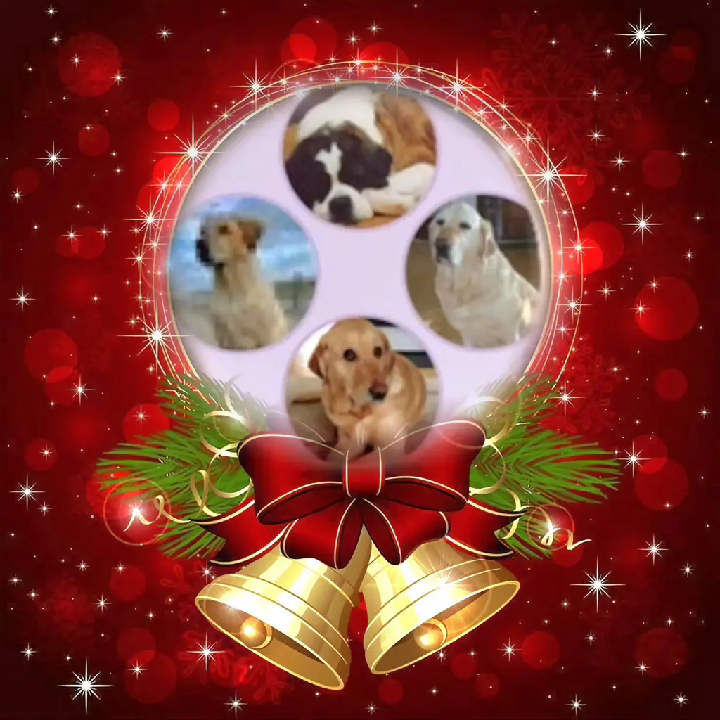 Andachtsbild von Frohe Weihnachten❤️⭐️❤️